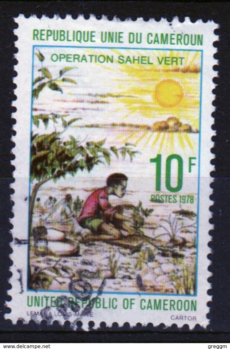 Cameroun 1978 Single 10f Stamp From The Protection Against Saharan Encroachment Series. - Cameroon (1960-...)