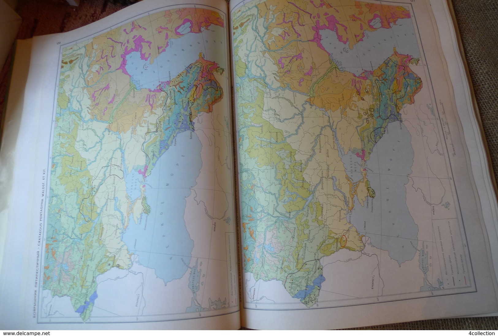 Soviet illustrated book ATLAS of areas and resources of Medicinal Plants of the USSR Moscow 1983 BIG 11x15"