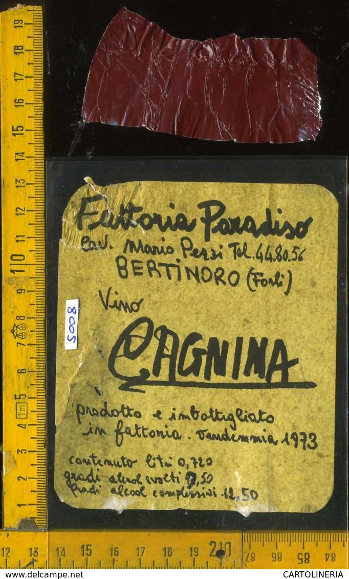 Etichetta Vino Liquore V. Cagnina 1973 Fattoria Paradiso - Bertinoro FO (difetto) - Altri & Non Classificati