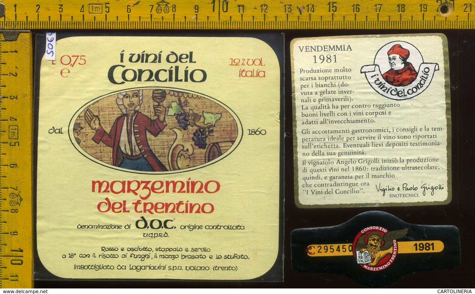 Etichetta Vino Liquore Marzemino Del Trentino 1981  - Volano TN - Altri & Non Classificati