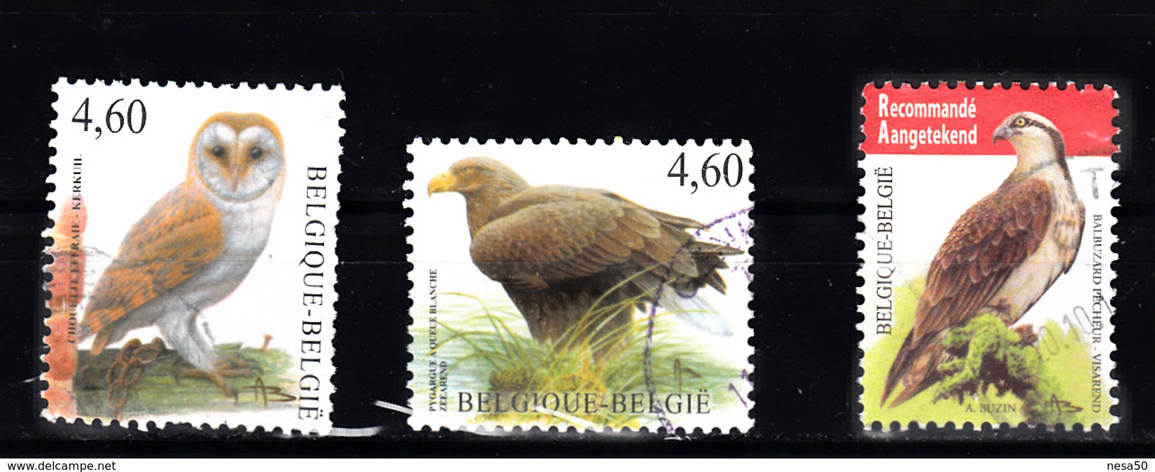 Belgie 2010 + 2009 + 2011 Mi Nr  4029 3917, 4137, Uil, Roofvogels 3x Gestempeld - Usati