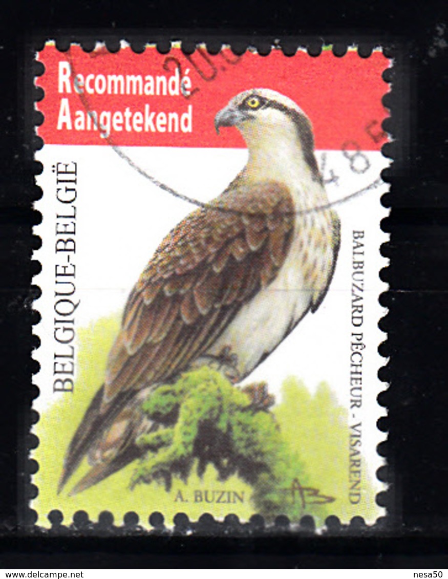 Belgie  2011 Mi Nr  4137, Roofvogel , Visadelaar Aangetekend Gestempeld - Gebruikt