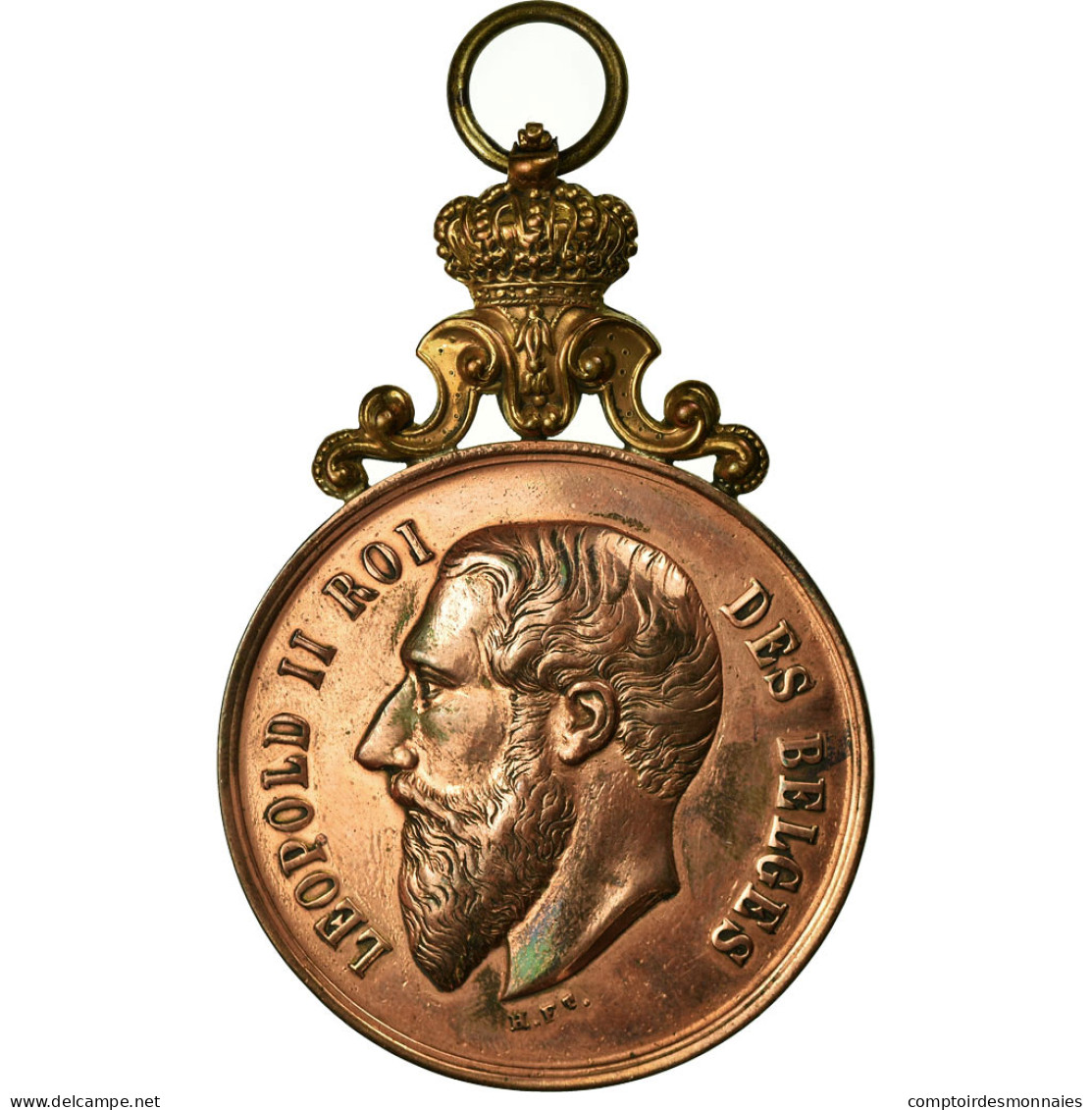 Belgique, Médaille, Léopold II, Festival De La Commune De Baisieux, 1893 - Autres & Non Classés