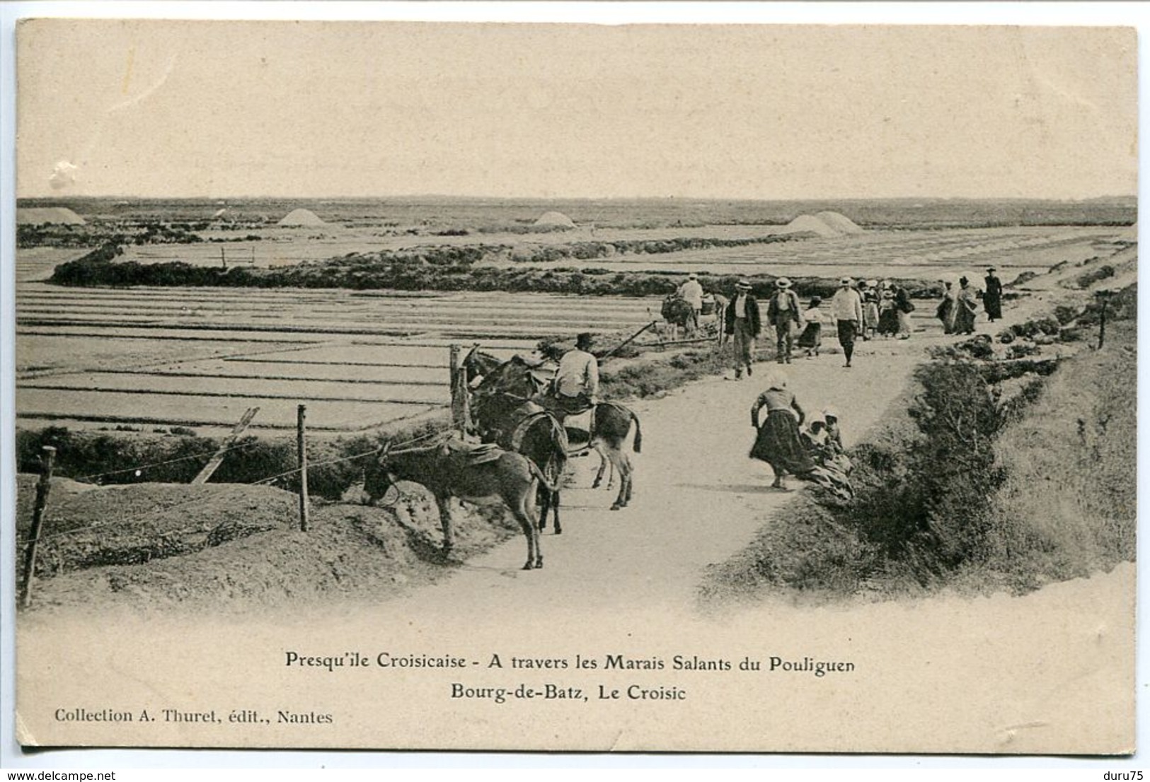 Presqu’île Croisicaise Bourg De Batz Le Croisic A Travers Les Marais Salants Du Pouliguen ( Animée ânes ) - Le Pouliguen