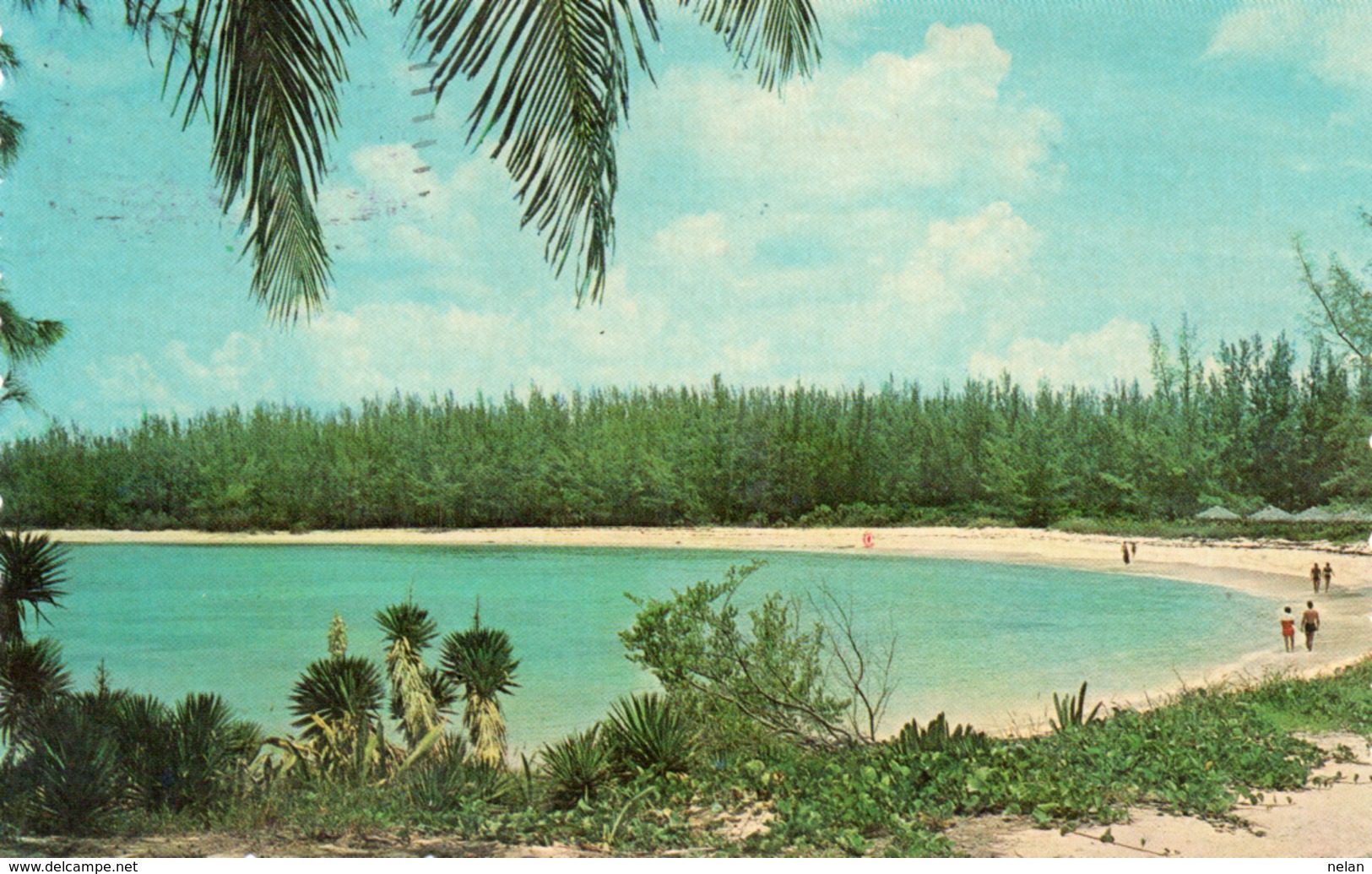 THE BAHAMAS ISLANDS-VIAGGIATA 1964 - Bahamas