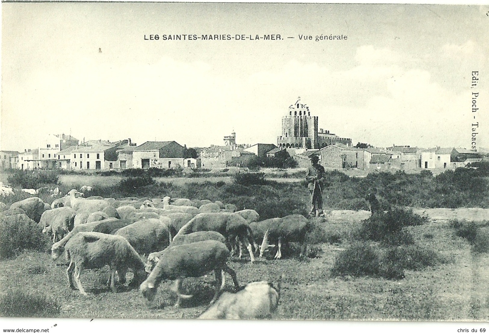 Les Saintes Maries De La Mer Vue Generale Moutons - Saintes Maries De La Mer