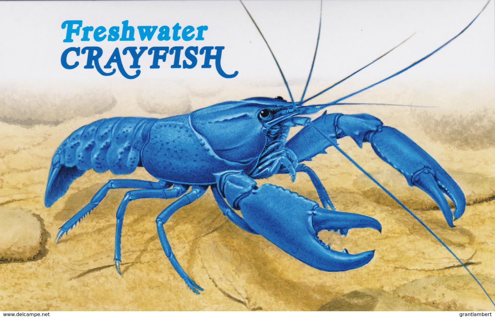 Australia 2019 Freshwater Crayfish Presentation Pack - Presentation Packs