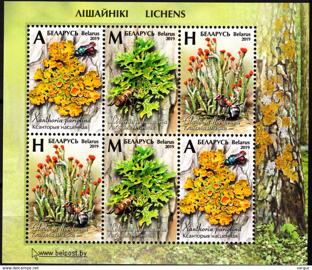 BELARUS 2019-12 FLORA Plants Fungi: Lichens And Insects. Souvenir Sheet, MNH - Mushrooms