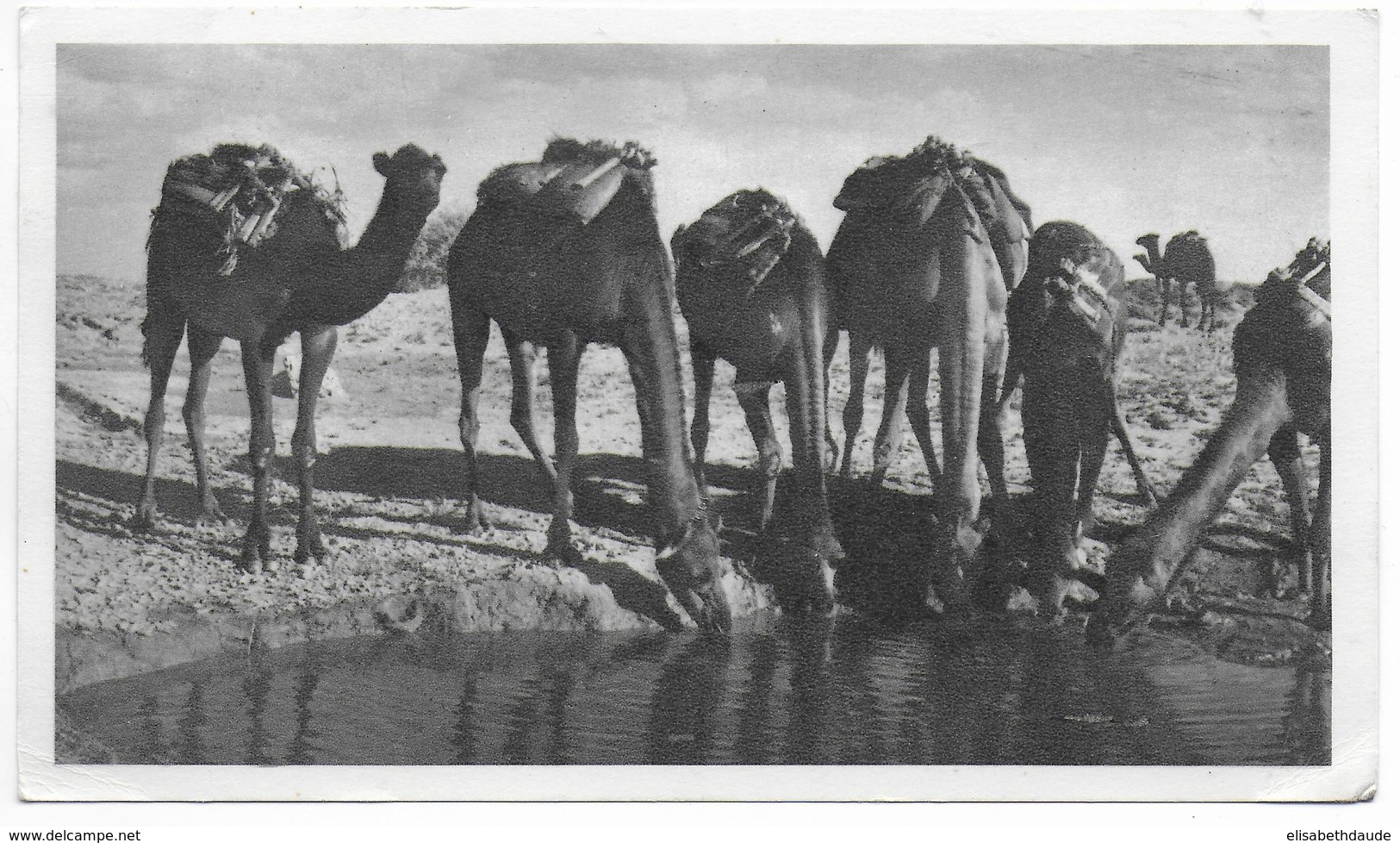 MAROC ESPAGNOL - 1953 - CARTE POSTALE MEDICALE De LARACHE => DRAGUIGNAN - Spaans-Marokko