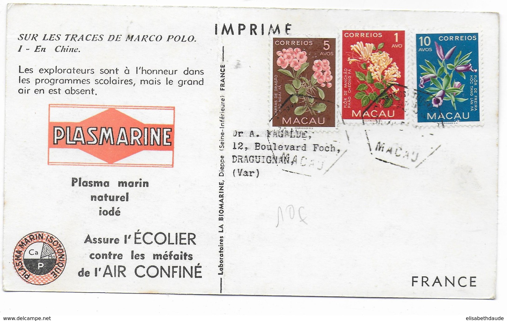 MACAU - 1953 - CARTE POSTALE MEDICALE => DRAGUIGNAN - Storia Postale