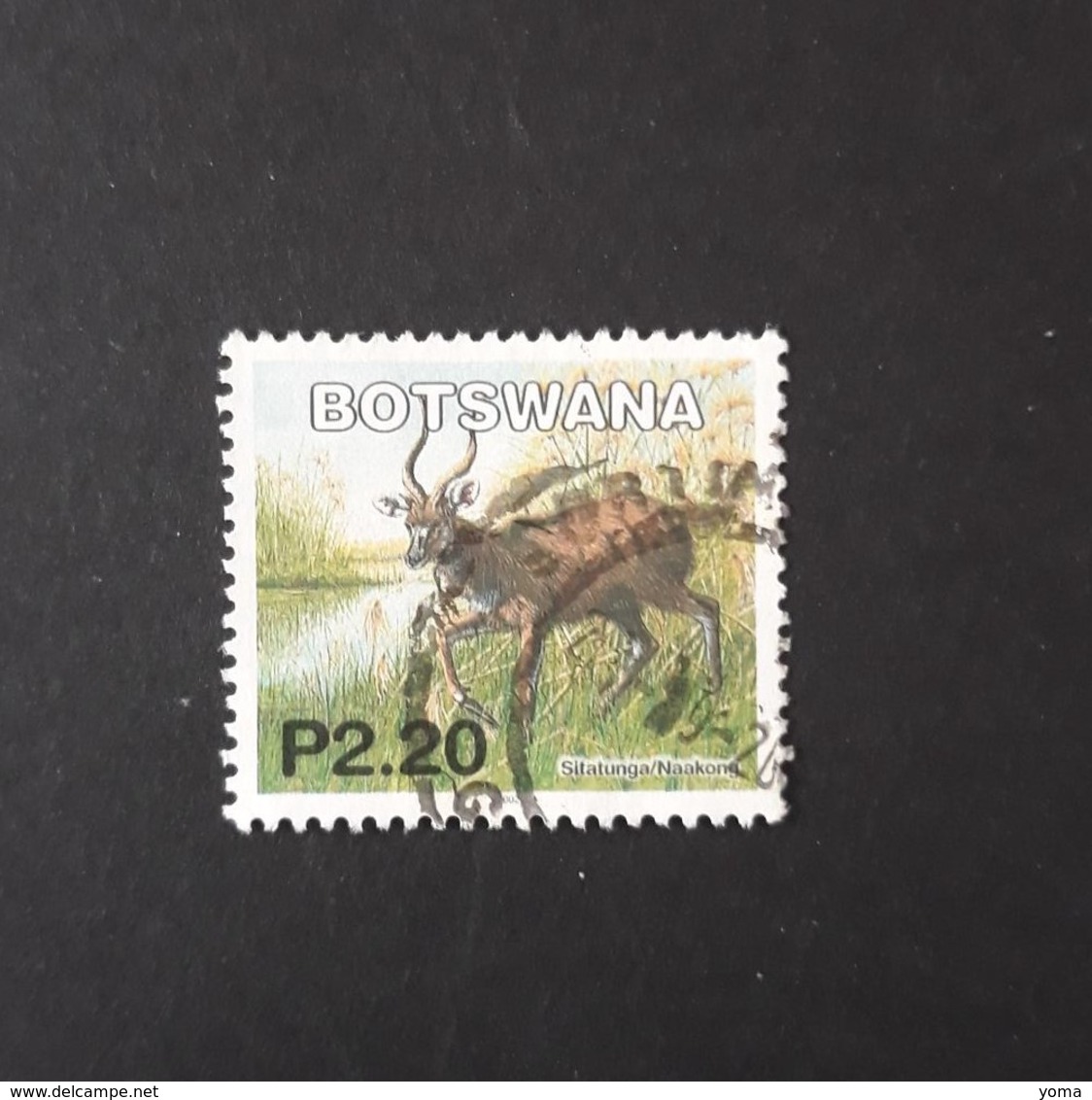 N° 892      Antilope Sitatunga  -  Oblitéré - Botswana (1966-...)