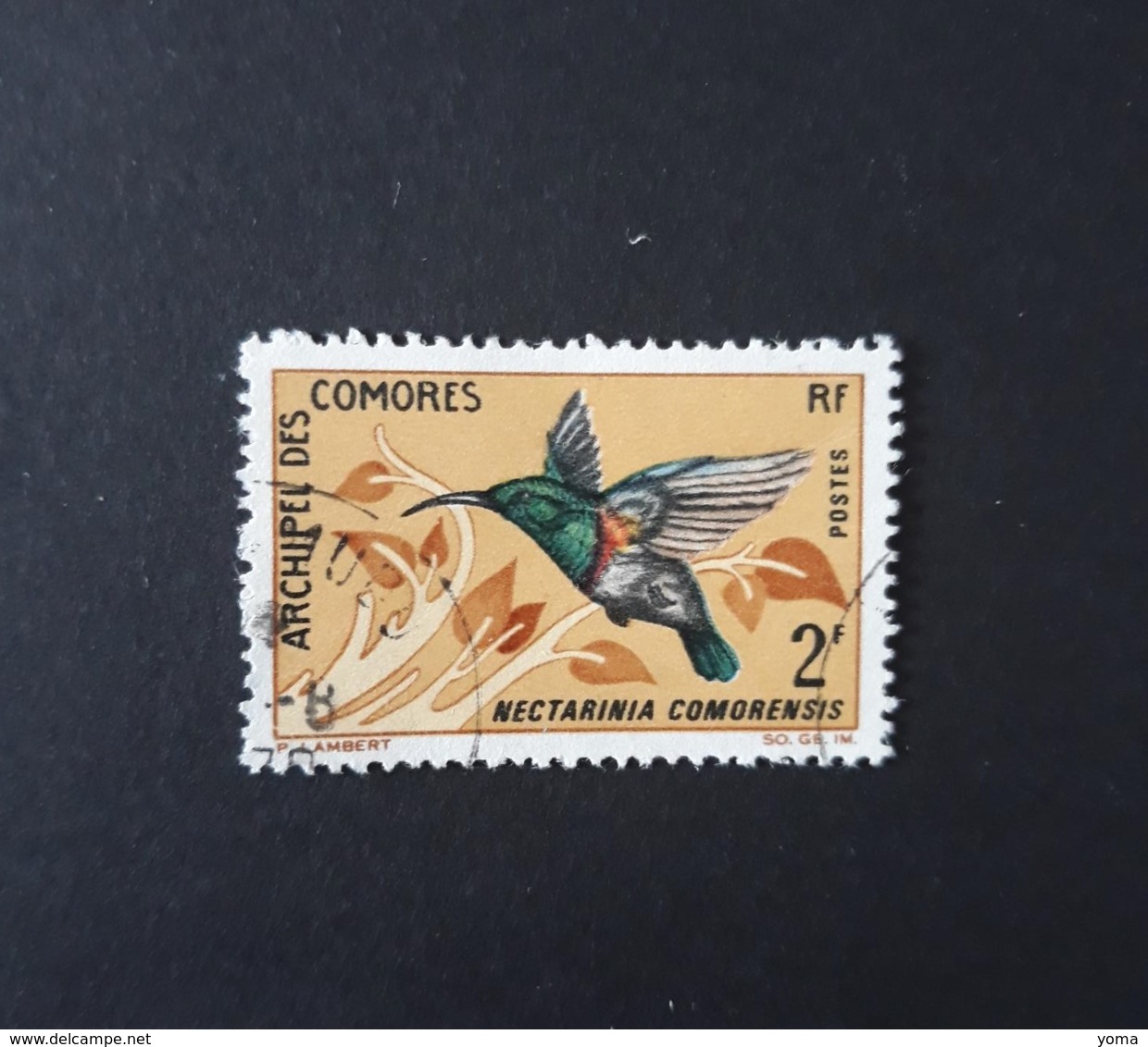 N° 41       Oiseau  -  Anjouan Sunbird - Used Stamps