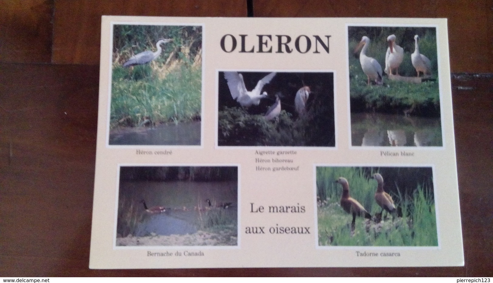 17 - Ile D'Oléron - Le Marais Aux Oiseaux - Multivues - Ile D'Oléron