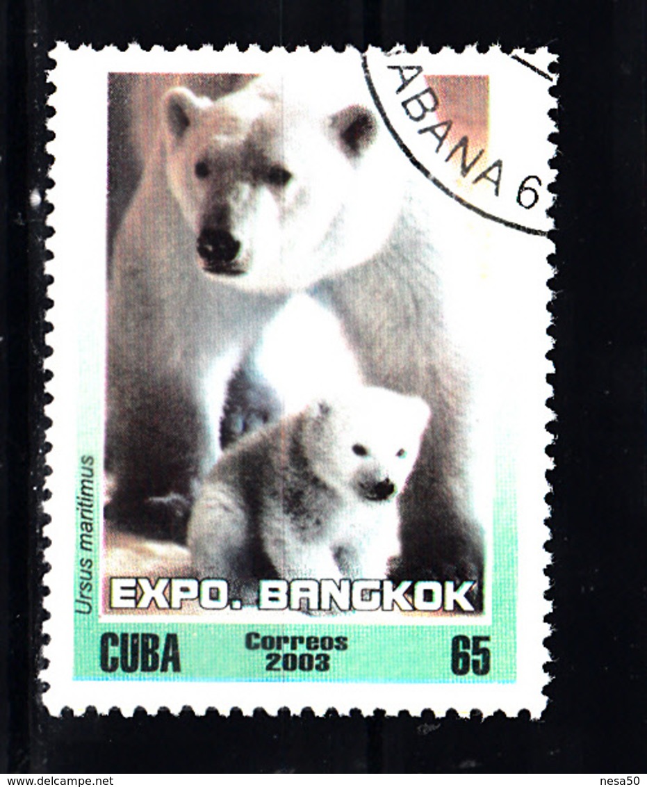 Cuba 2003 Mi Nr 4541, Ijsberen, Polar Bear - Gebruikt