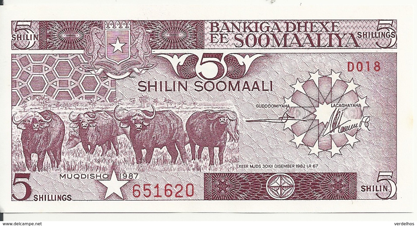SOMALIE 5 SHILLINGS 1987 AUNC P 31 C - Somalie