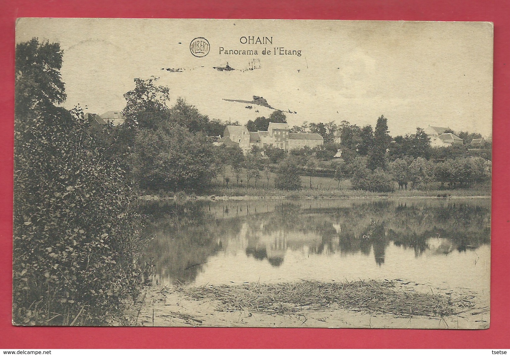 Ohain / Lasne - Panorama De L'Etang  - 1925 ( Voir Verso ) - Lasne