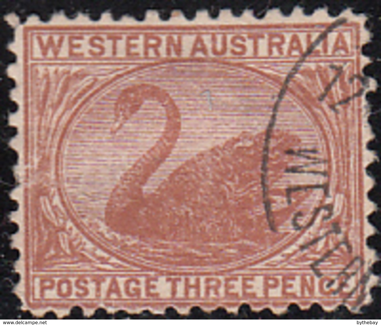 Western Australia 1905-1912 Used Sc 92 3p Swan - Oblitérés