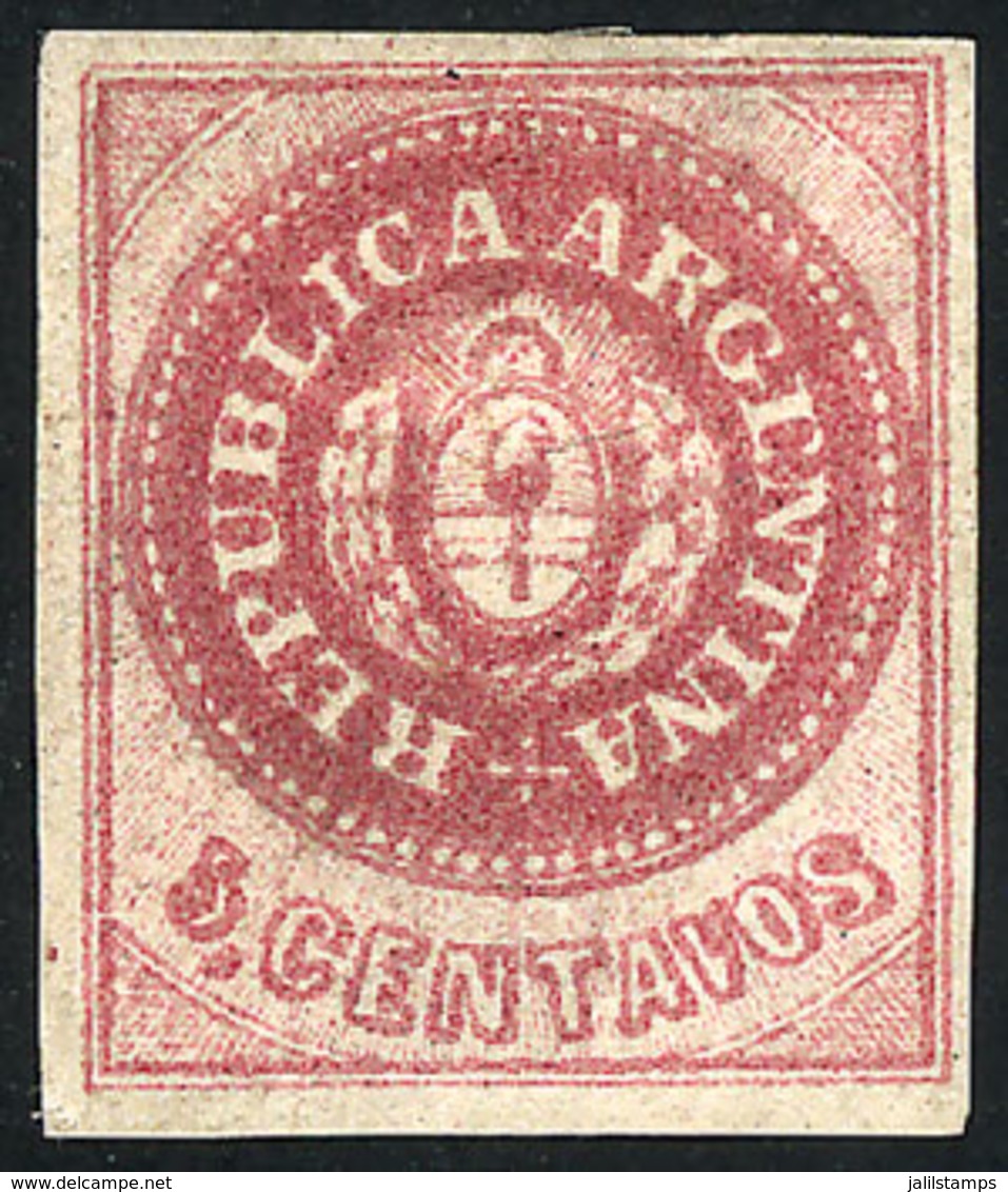 ARGENTINA: GJ.12, 5c. Without Accent Over The U, Semi-worn Plate, Original Gum, 4 Wide Margins, VF Quality - Neufs