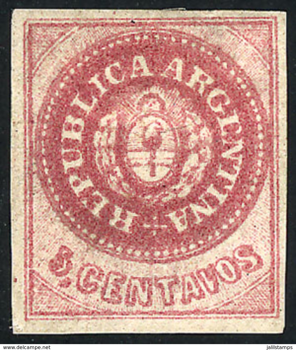 ARGENTINA: GJ.12, 5c. Without Accent Over The U, Semi-worn Plate, Original Gum, 4 Wide Margins, VF Quality - Nuevos