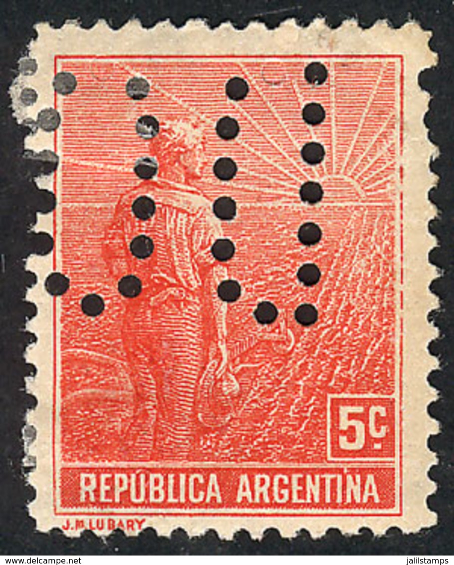 ARGENTINA: GJ.317, 5c. Plowman, With "INUTILIZADO" Perforation, VF Quality" - Other & Unclassified