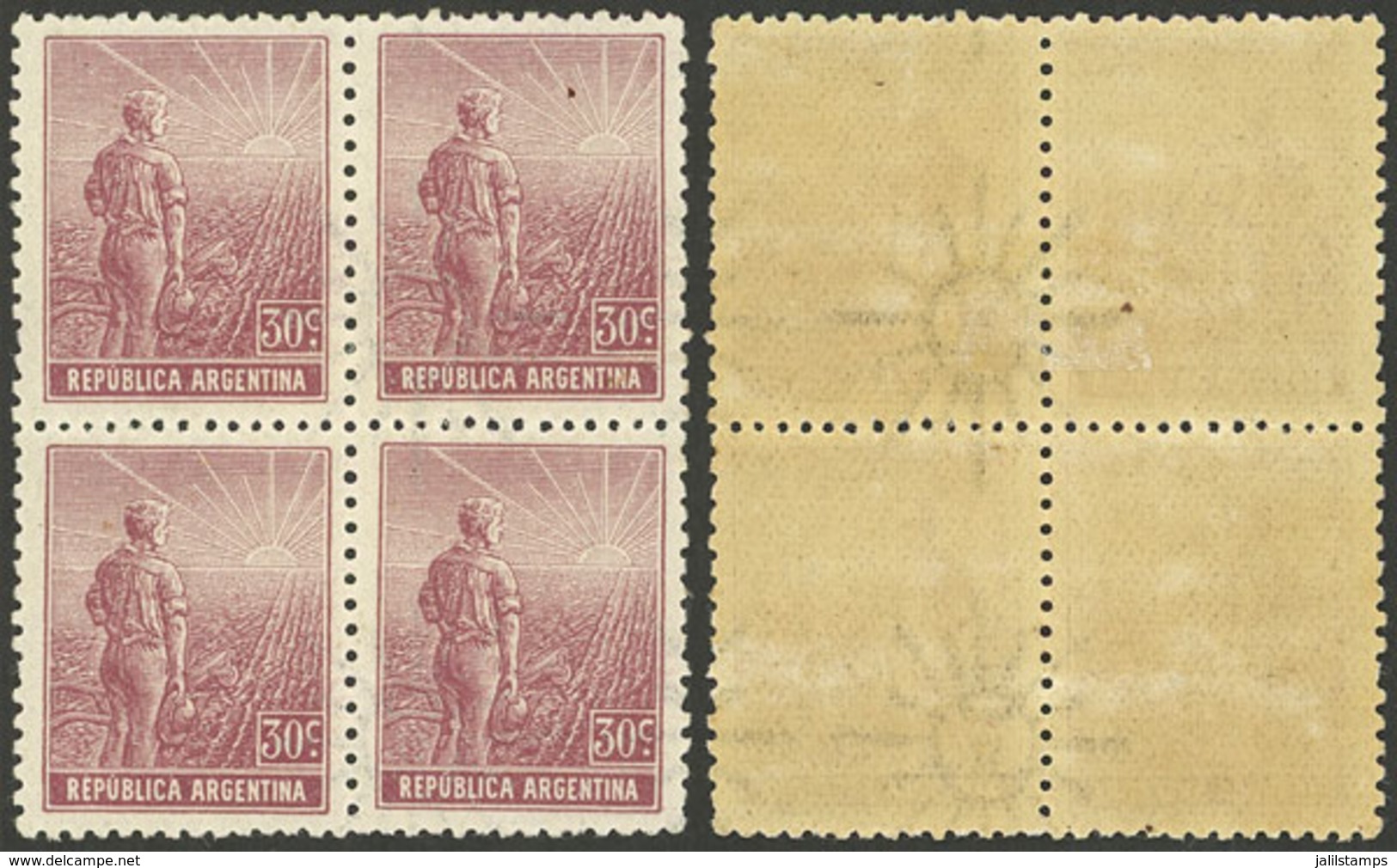 ARGENTINA: GJ.335b, 30c. Plowman, Sun With Straight Rays Wmk, Block Of 4, 2 Without Watermark, VF - Other & Unclassified