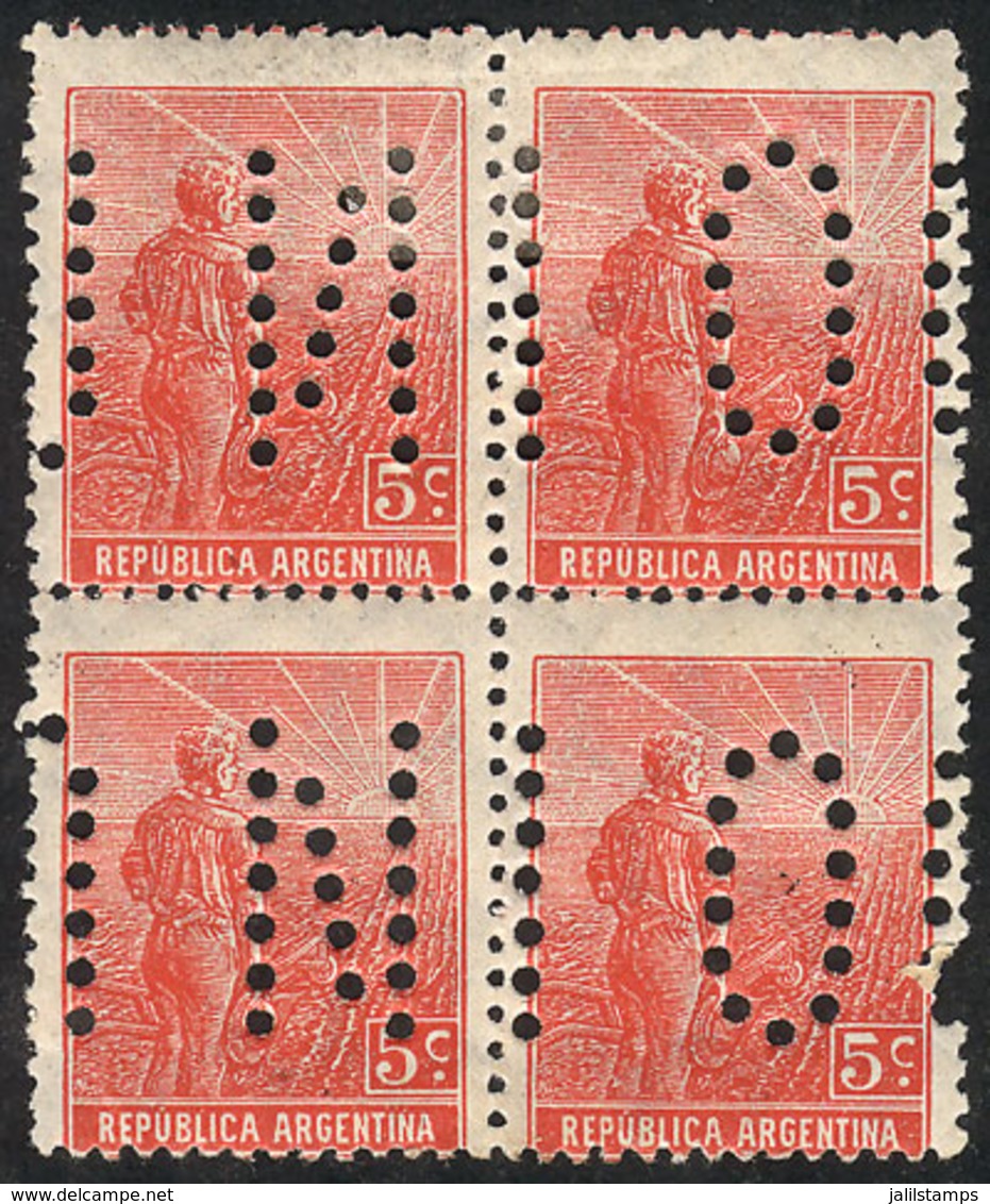 ARGENTINA: GJ.342, 5c. Plowman, German Paper With Vertical Honeycomb Wmk, Perf 13¼x12½, With "INUTILIZADO" Perforation,  - Other & Unclassified