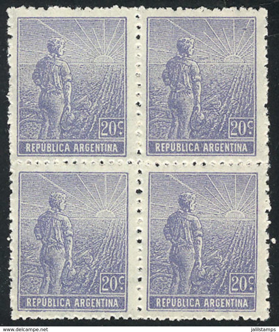 ARGENTINA: GJ.345, 20c. Plowman, German Paper With Vertical Honeycomb Wmk, MNH Block Of 4, VF - Otros & Sin Clasificación