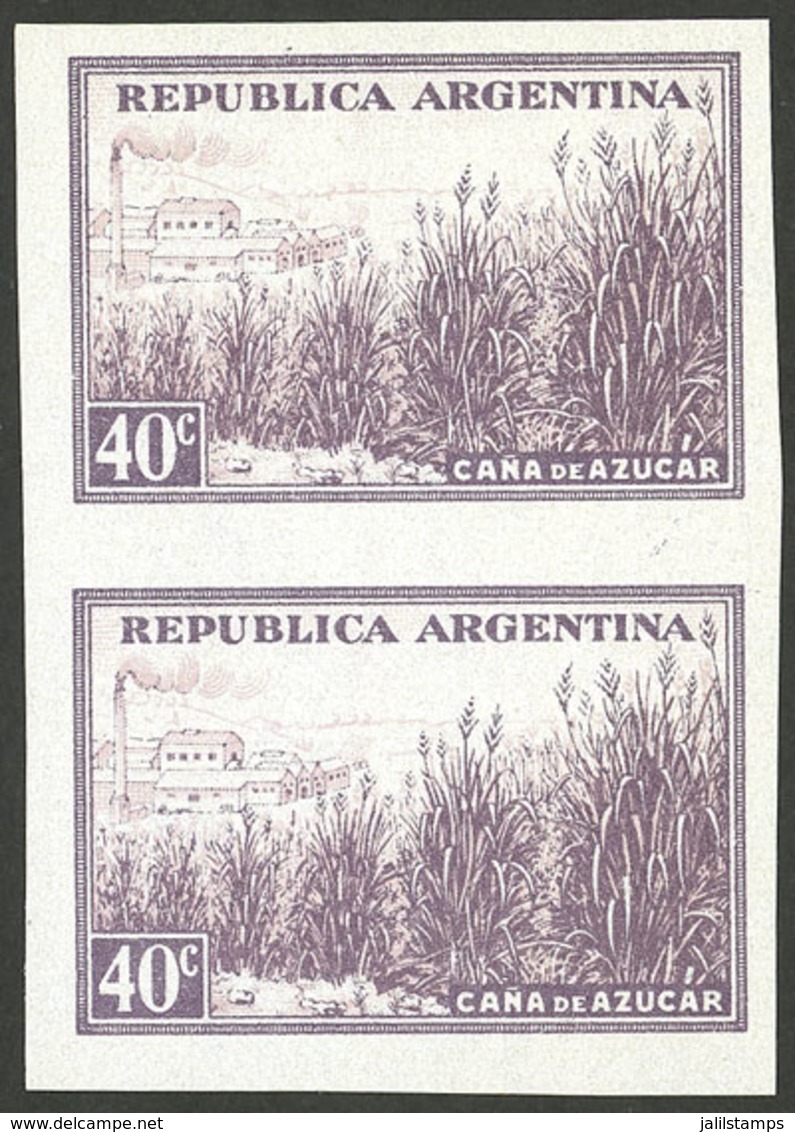 ARGENTINA: GJ.768P, 40c. Sugar Cane, Chalky Paper, Imperforate Pair With Sheet Margin, MNH - Otros & Sin Clasificación