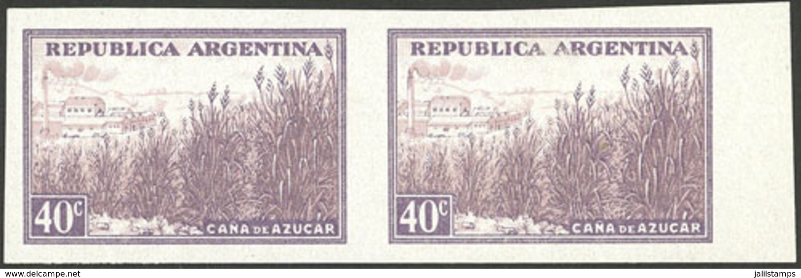 ARGENTINA: GJ.768P, 40c. Sugar Cane, Imperforate Pair On Chalky Paper, VF - Otros & Sin Clasificación