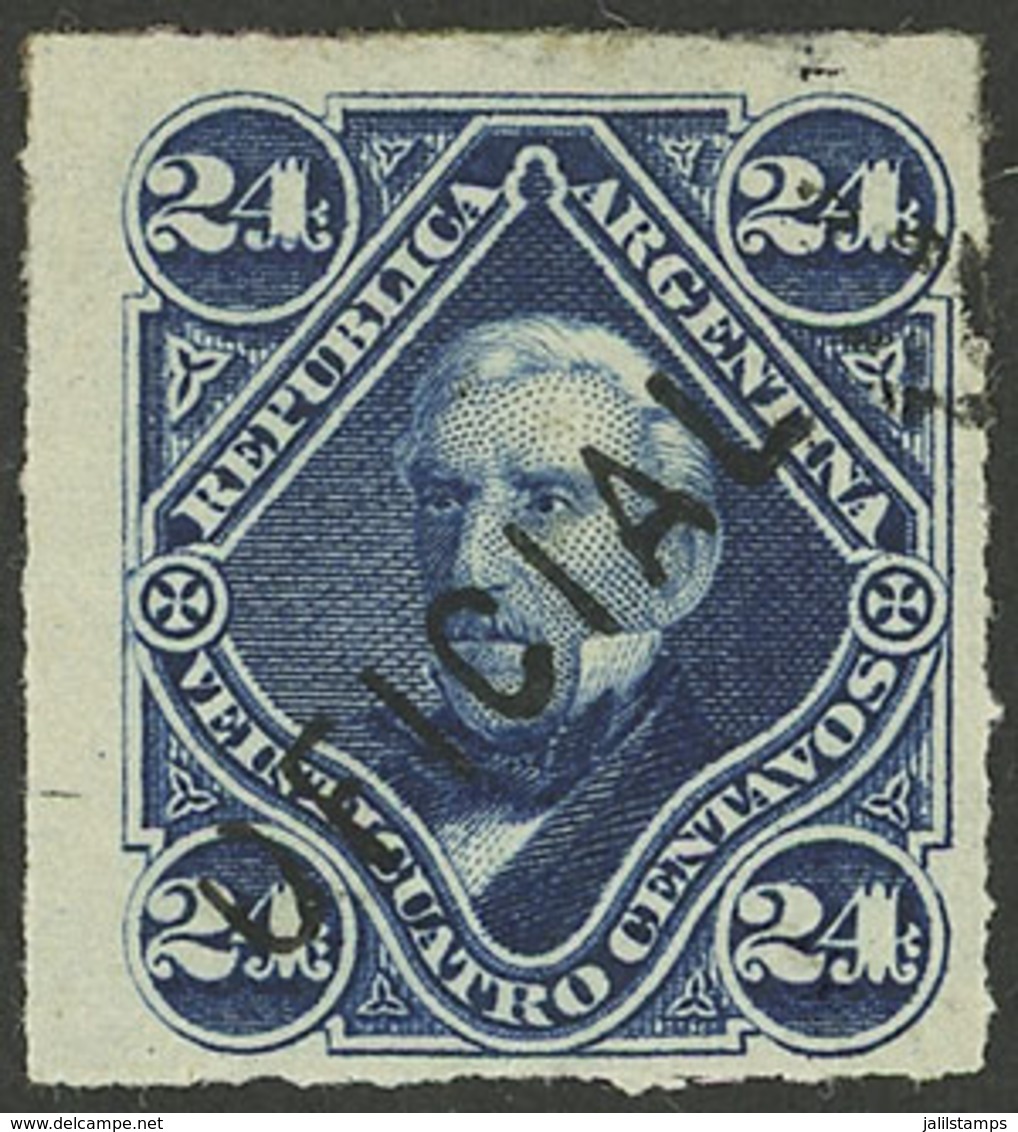 ARGENTINA: GJ.8, 24c. San Martín, Rouletted, Diagonal Overprint, VF And Rare! - Officials