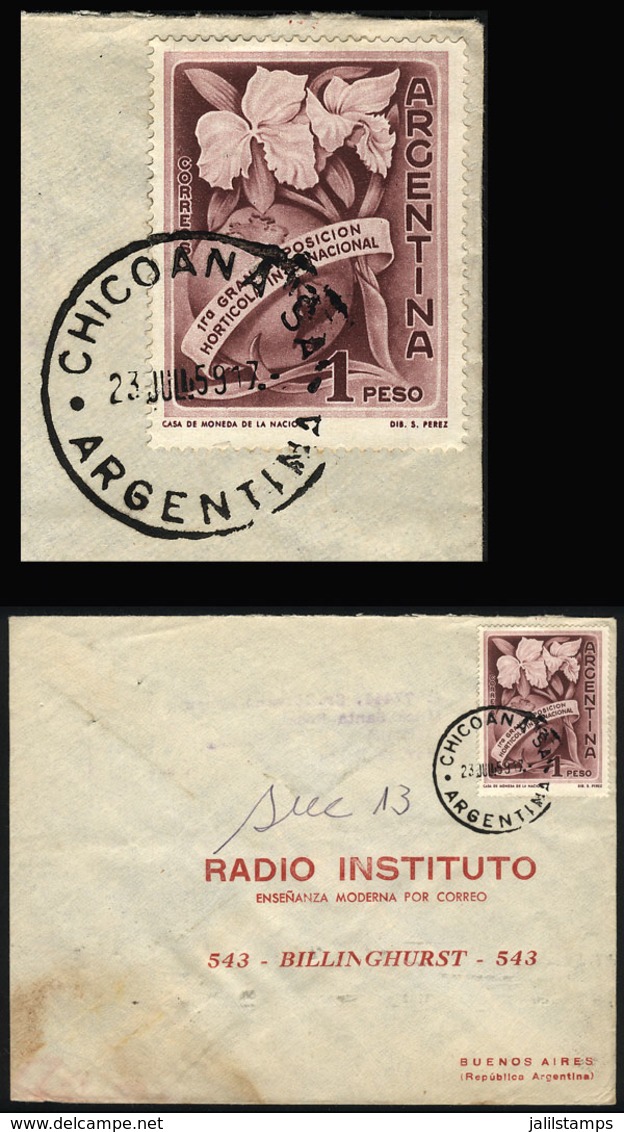 ARGENTINA: Cover Sent From CHICOANA (Salta) To Buenos Aires On 23/JUL/1959 - Covers & Documents