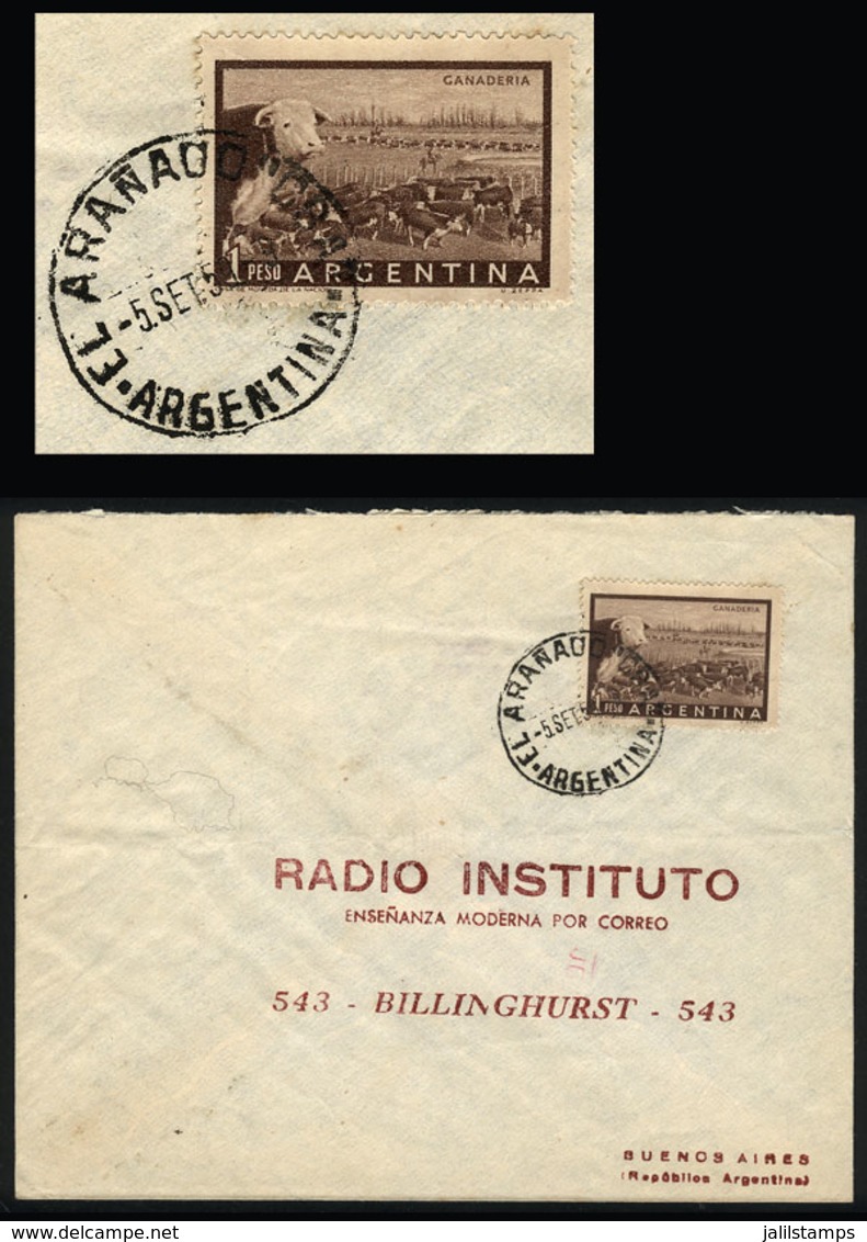 ARGENTINA: Cover Sent From EL ARAÑADO (Córdoba) To Buenos Aires On 5/SE/1959 - Covers & Documents