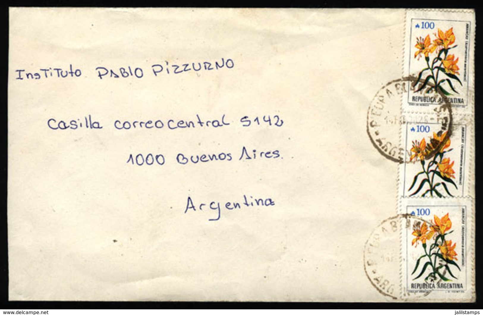 ARGENTINA: Cover Mailed On 14/FE/1990 With Postmark Of "PIEDRA BLANCA" (Santiago Del Estero) To Buenos Aires, With INFLA - Cartas & Documentos