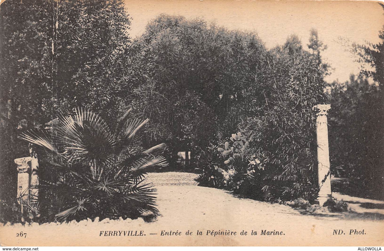 4634 " FERRYVILLE-ENTREE DE LA PEPINIERE DE LA MARINE "-CART. ORIG. NON SPED. - Tunisia