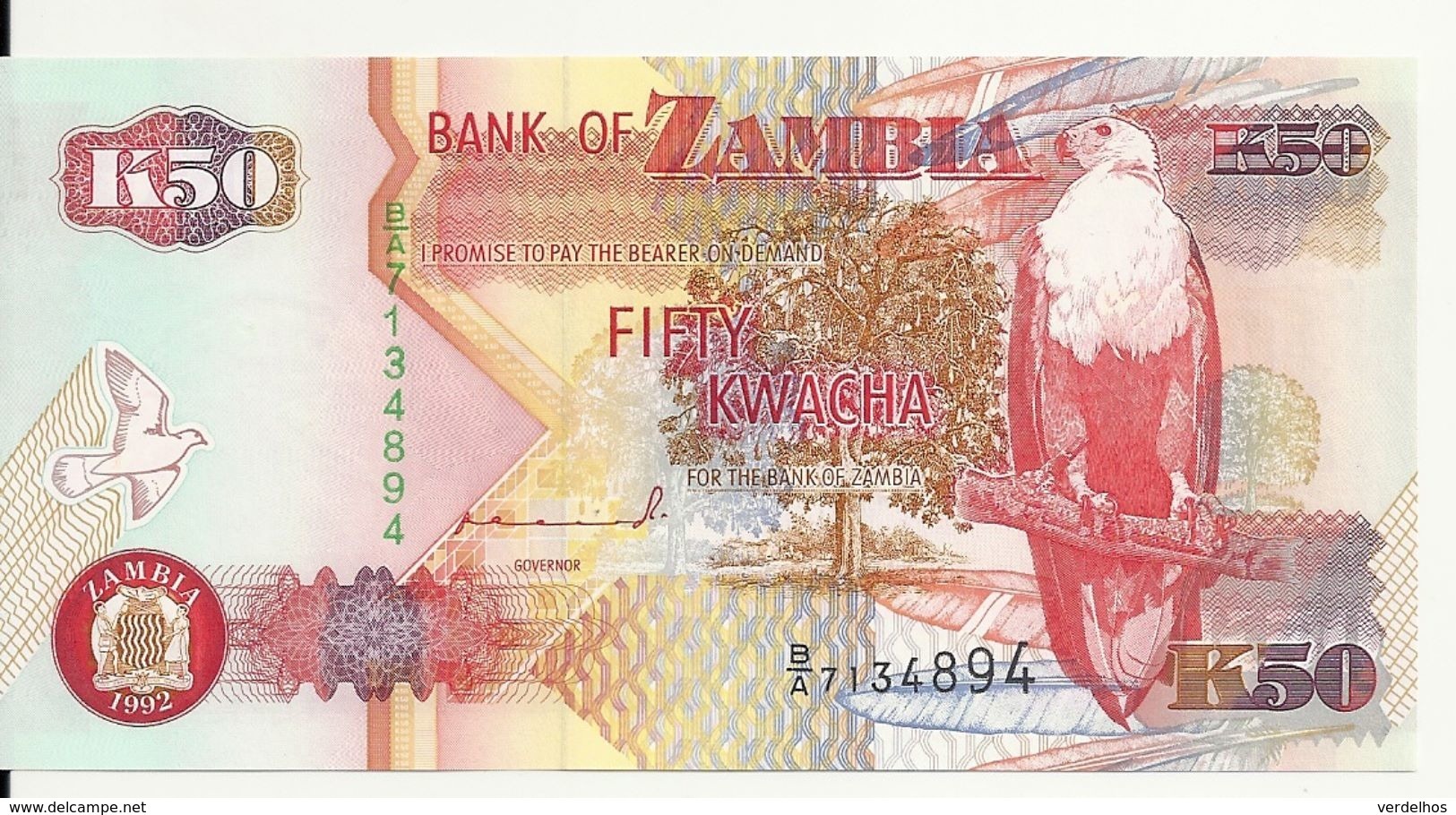 ZAMBIE 50 KWACHA 1992 UNC P 37 A - Zambie