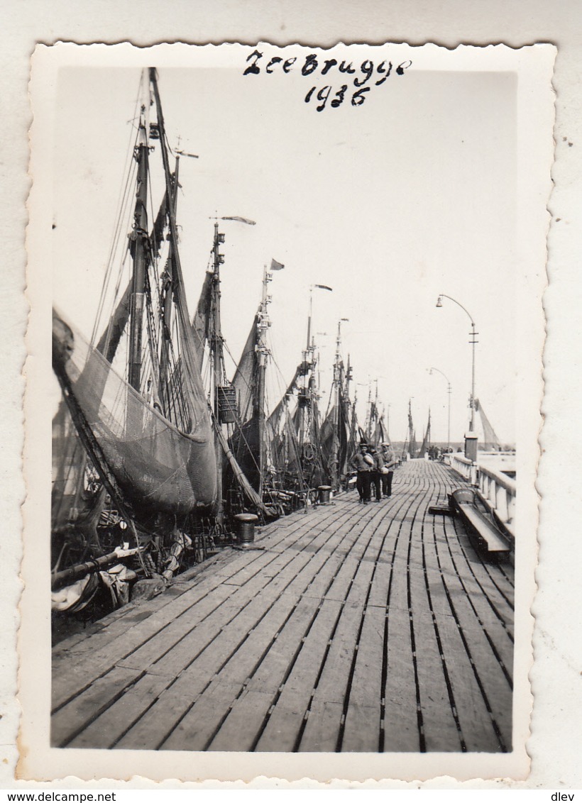 Zeebrugge - 1936 - Foto 6 X 8.5 Cm - Boten