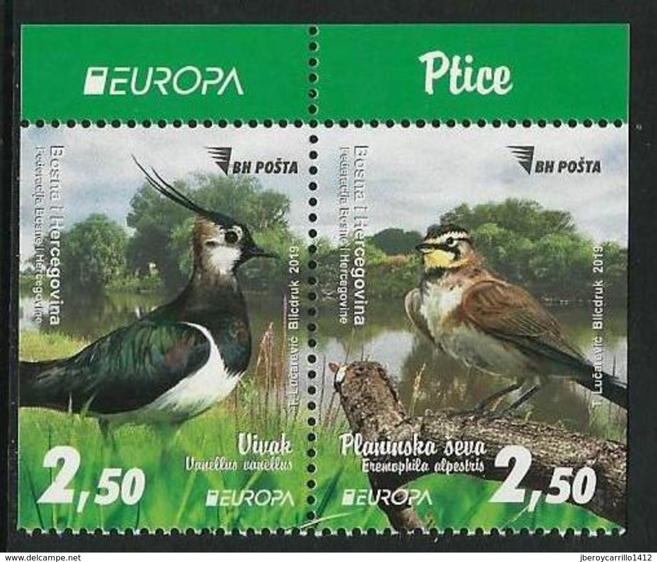 BOSNIA HERZEGOVINA / BOSNIA SARAJEVO  -EUROPA 2019 -NATIONAL BIRDS.-"AVES -BIRDS -VÖGEL-OISEAUX"- SERIE CH -CARNET - 2019