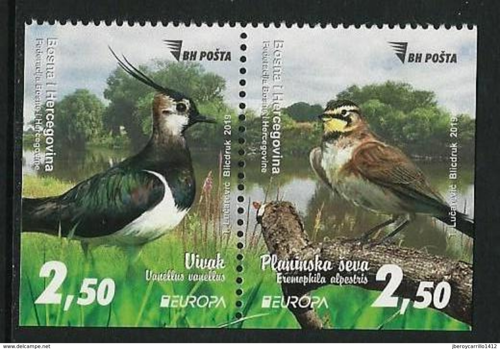 BOSNIA HERZEGOVINA / BOSNIA SARAJEVO  -EUROPA 2019 -NATIONAL BIRDS.-"AVES -BIRDS -VÖGEL-OISEAUX"- SERIE 3L-IMP -CARNET - 2019