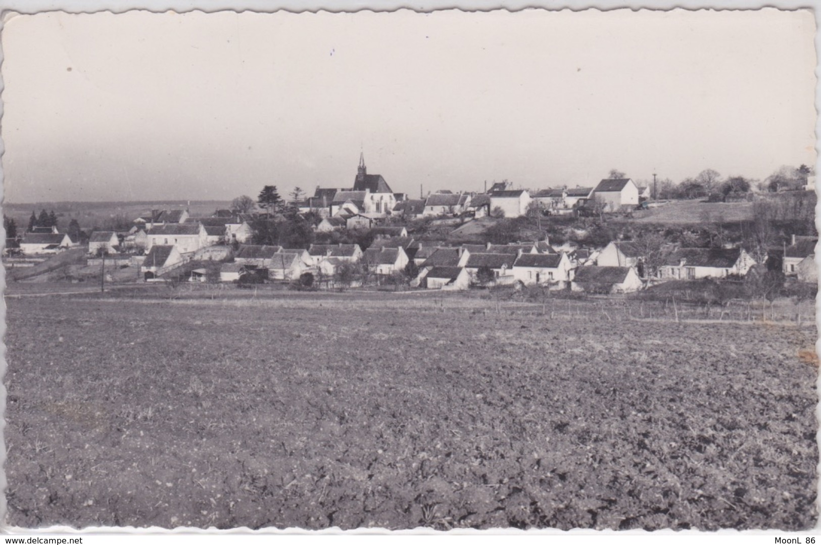 37 - FRANCUEIL - VUE PANORAMIQUE - Sonstige & Ohne Zuordnung