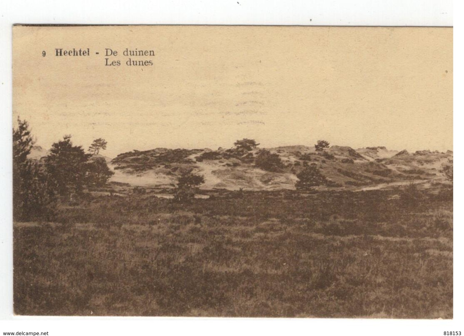 9 Hechtel - De Duinen  Les Dunes 1931 - Hechtel-Eksel