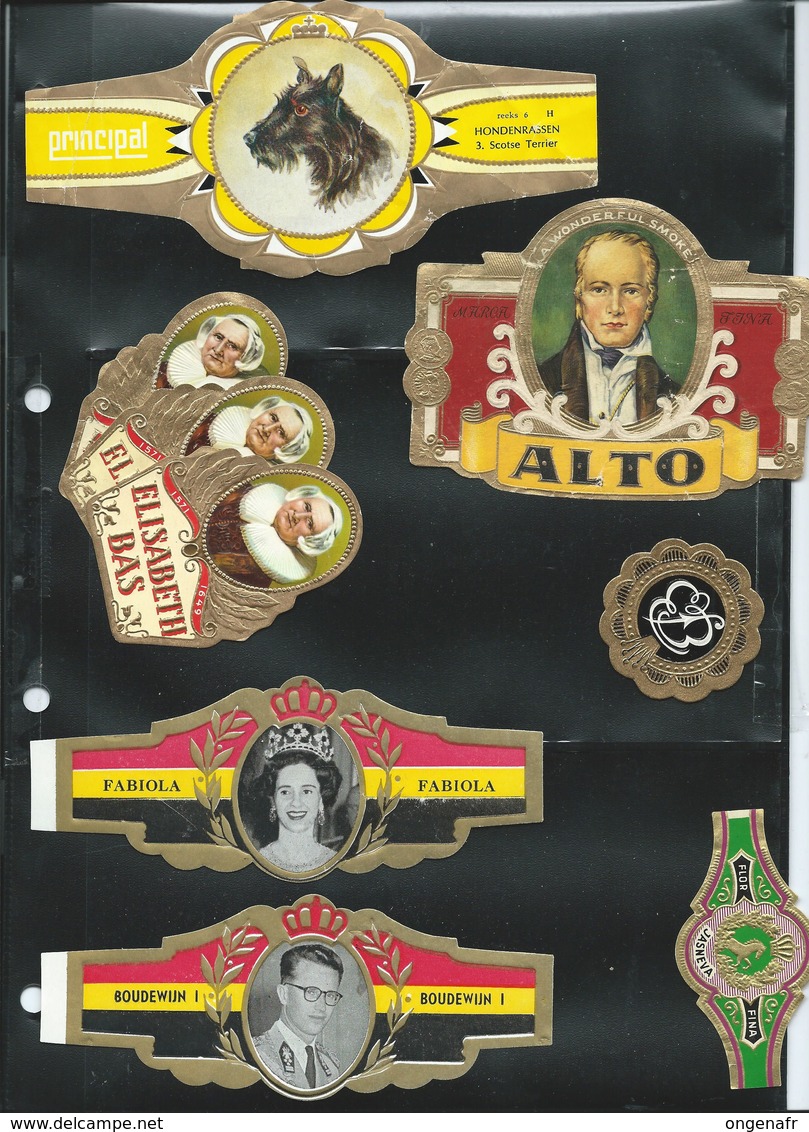 Lot De Bagues Grands Formats - Cigar Bands