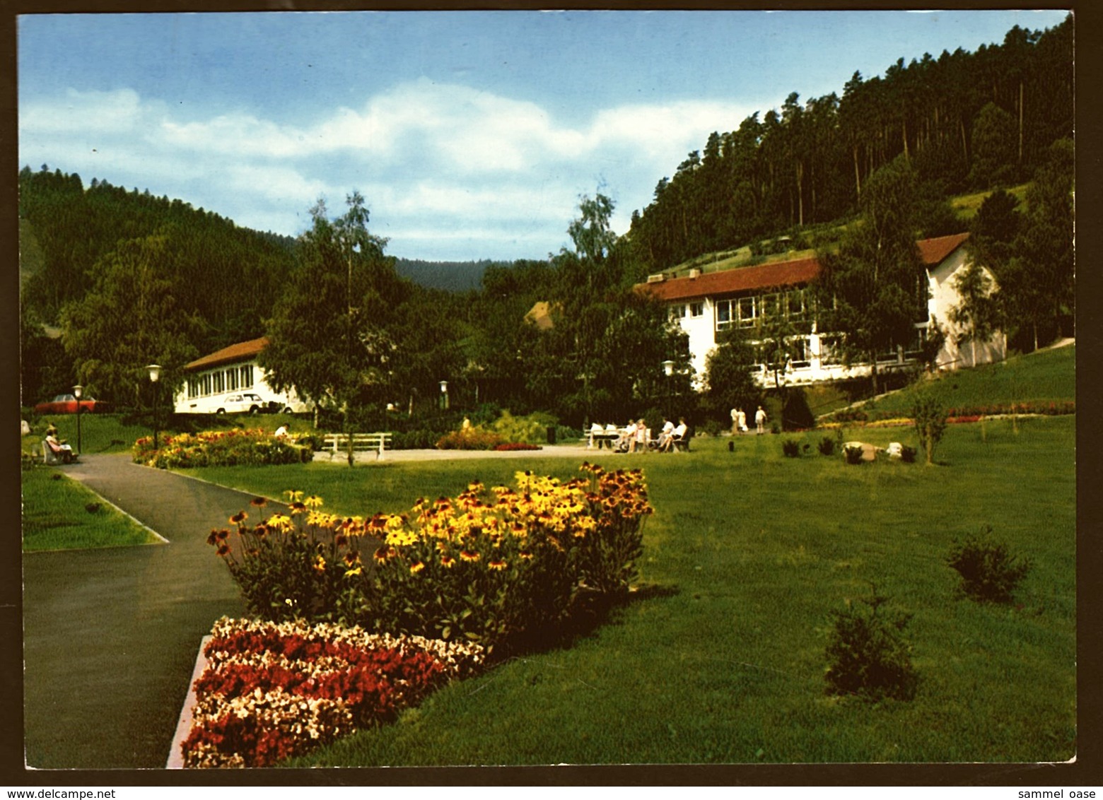 Enzklösterle Bei Bad Wildbad  -  Kurpark  -  Ansichtskarte  Ca. 1980   (11275) - Altensteig
