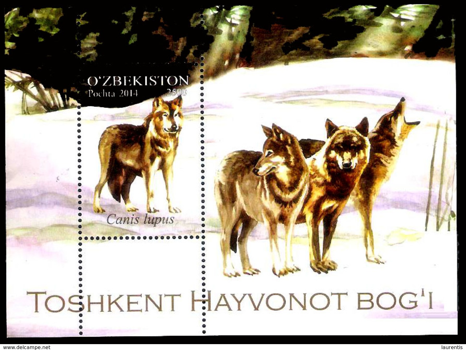 21161  Wolves - Loups - Uzbekistan - MNH - 2,50  A4 - Autres & Non Classés
