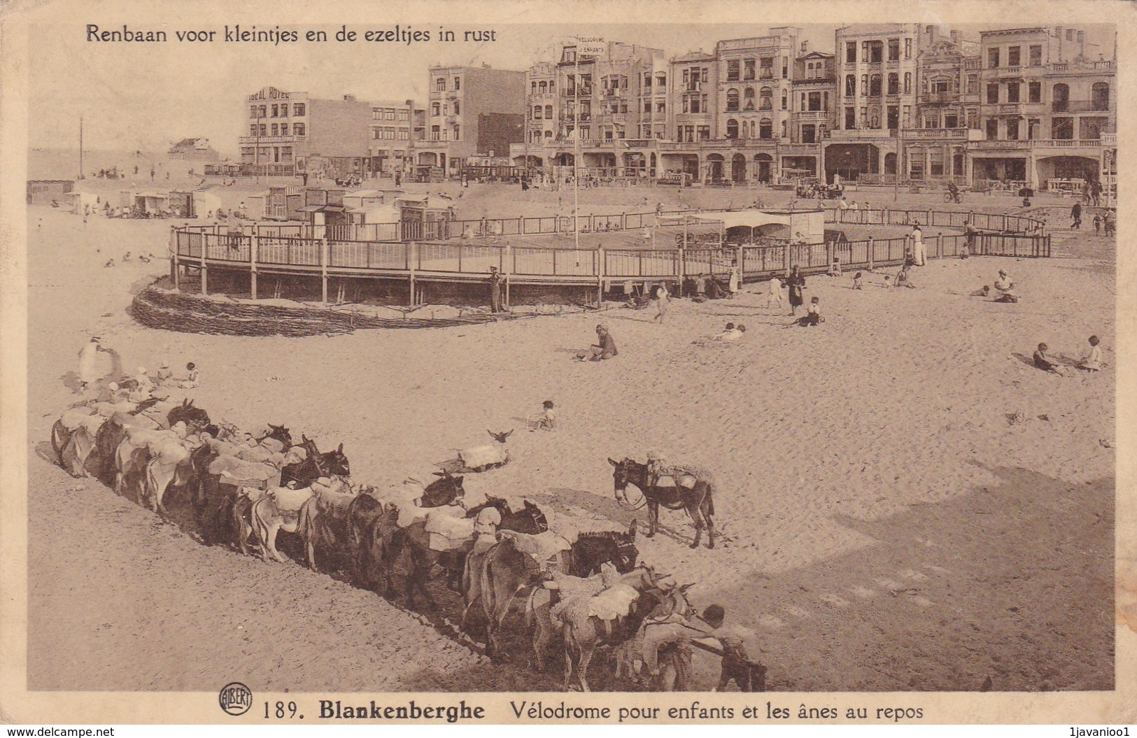 Blankenberge , Blankenberghe, Velodrome Pour Enfants, Et Lesânes Au Repos, 2 Scans - Blankenberge