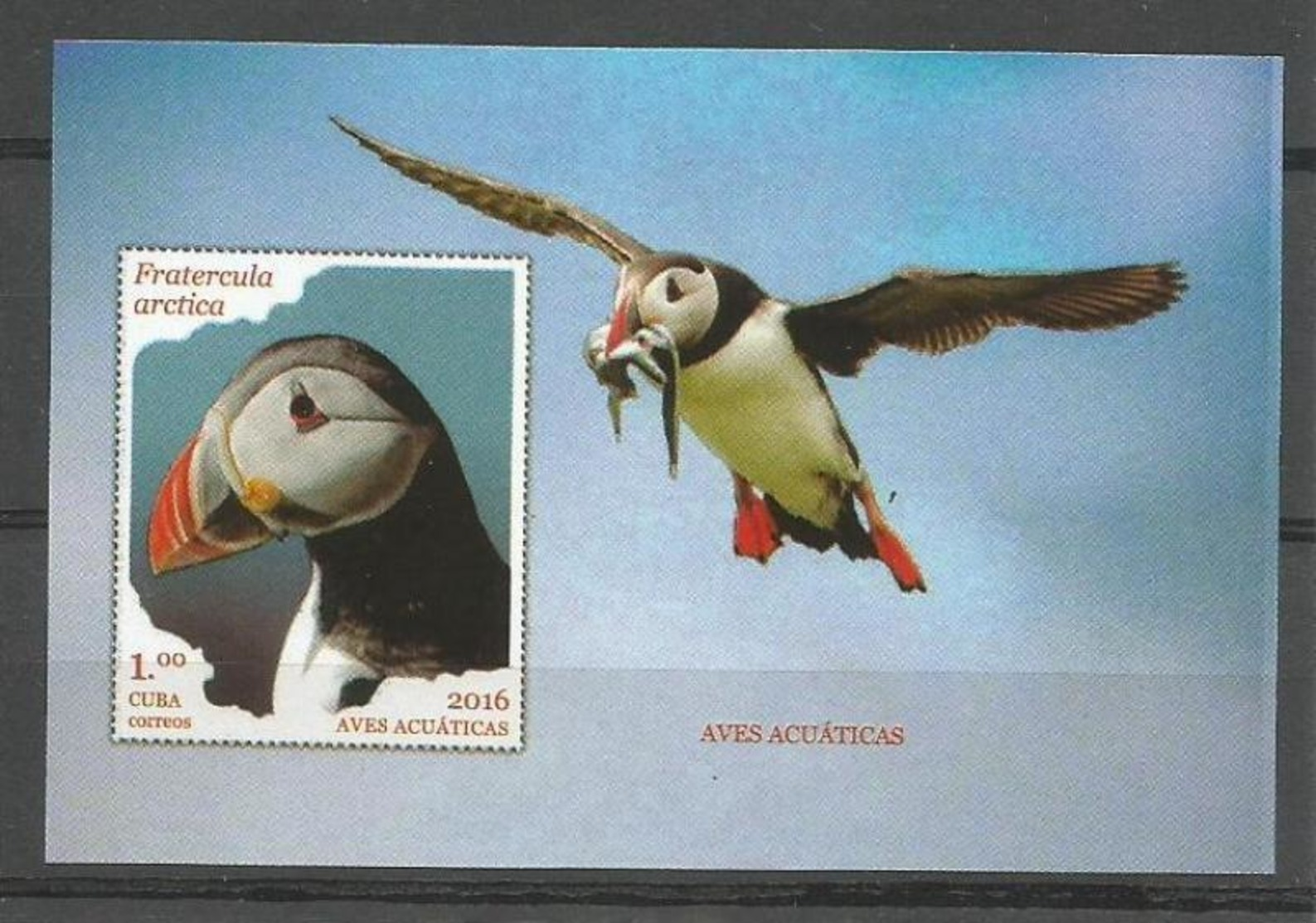 Cuba 2016 Water Birds 6v + S/S MNH - Ongebruikt