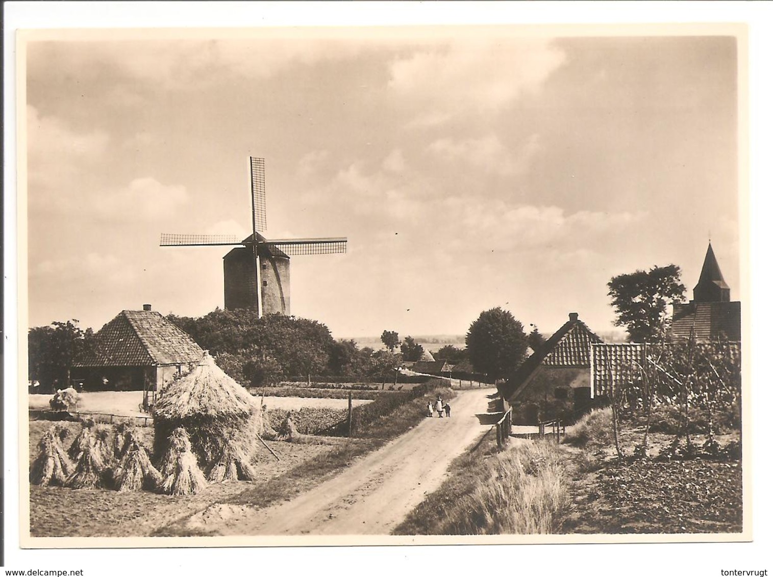 G254.4 Molen. Zeddam. Mühle-Mill-Moulin. Esperanto - Ganzsachen