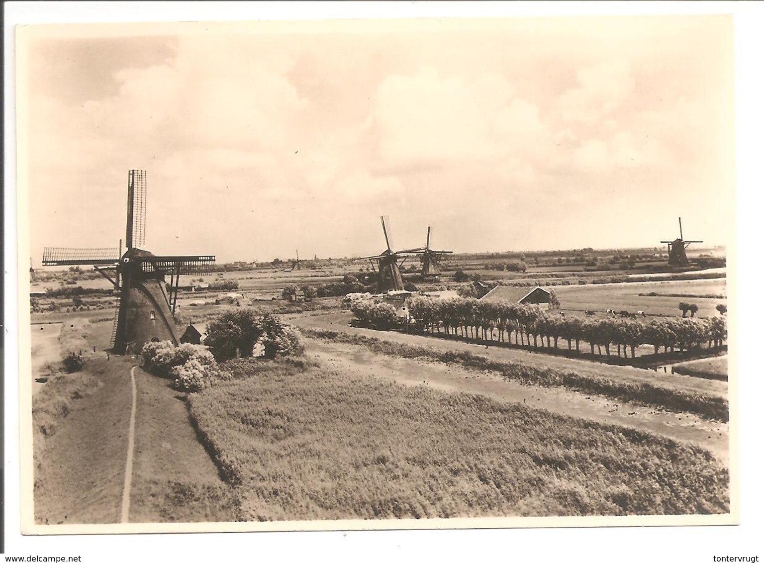 G254.5 Molen. Alblasserwaard. Mühle-Mill-Moulin. Esperanto - Ganzsachen