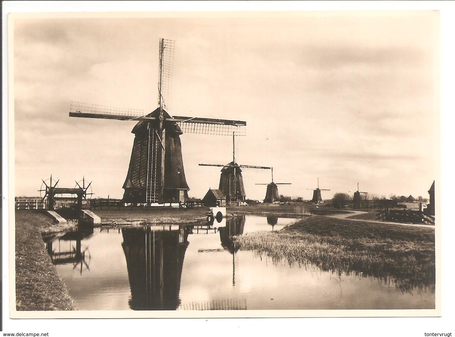 G254.10 Molen. Alkmaar. Mühle-Mill-Moulin. Esperanto - Ganzsachen