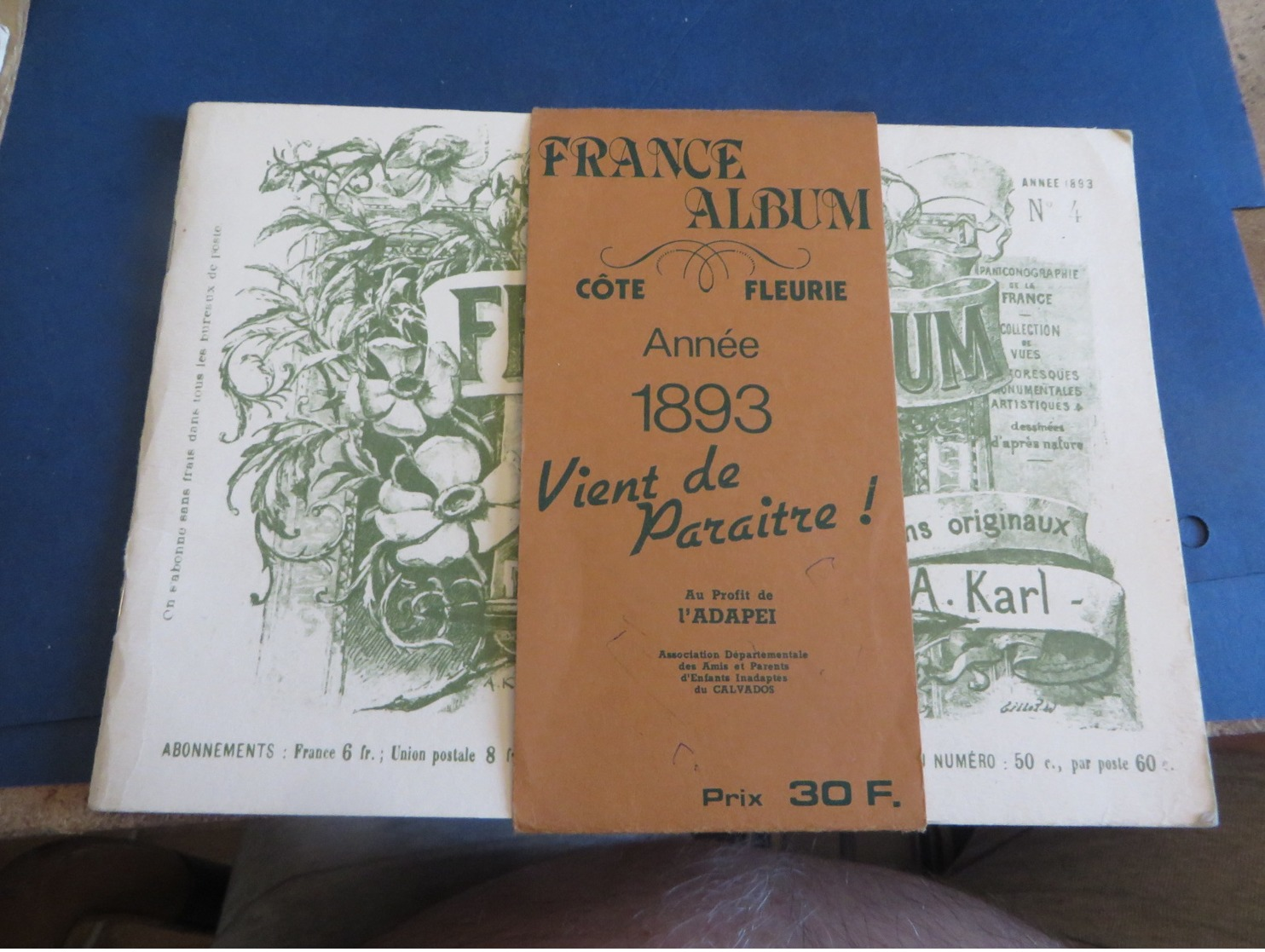 FRANCE ALBUM ANNEE 1893 (lot 39) - Publicités
