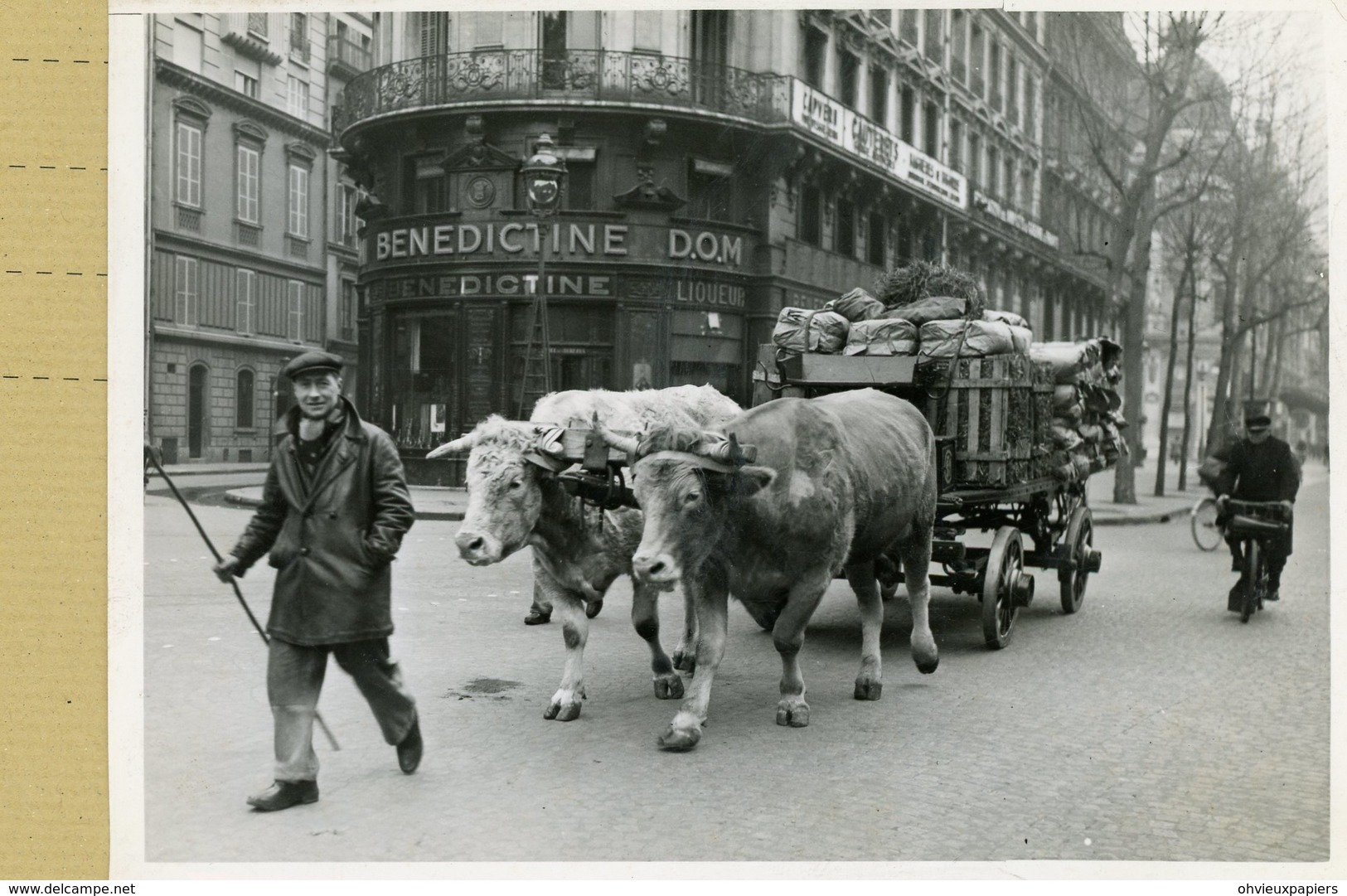 La France Sous Le Régime De Vichy . PARIS Bd De Rivoli  -  LA FETE DU TET -  Transport à Dos De Boeufs - Lieux